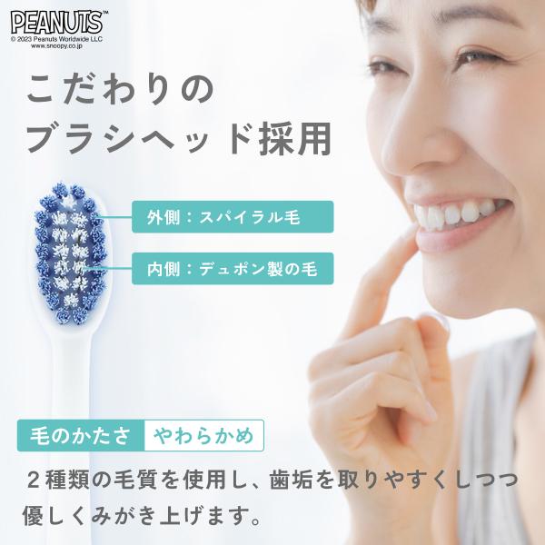 ドリテック 電動歯ブラシ ピーナッツデザイン 音波式 防水 タイマー