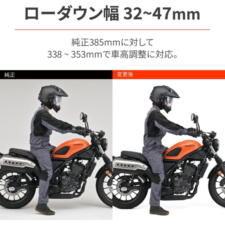 DAYTONA（デイトナ） 41881 ローダウンキット CL250(23)専用 シルバー