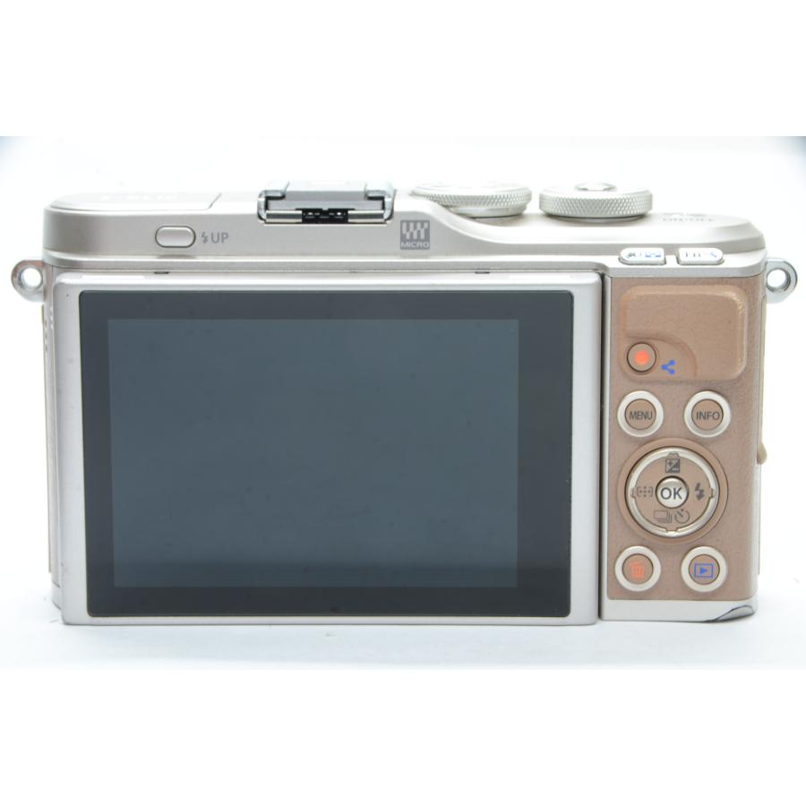 OLYMPUS PEN オリンパス E-PL10 ブラウン EZ ダブルズームキット