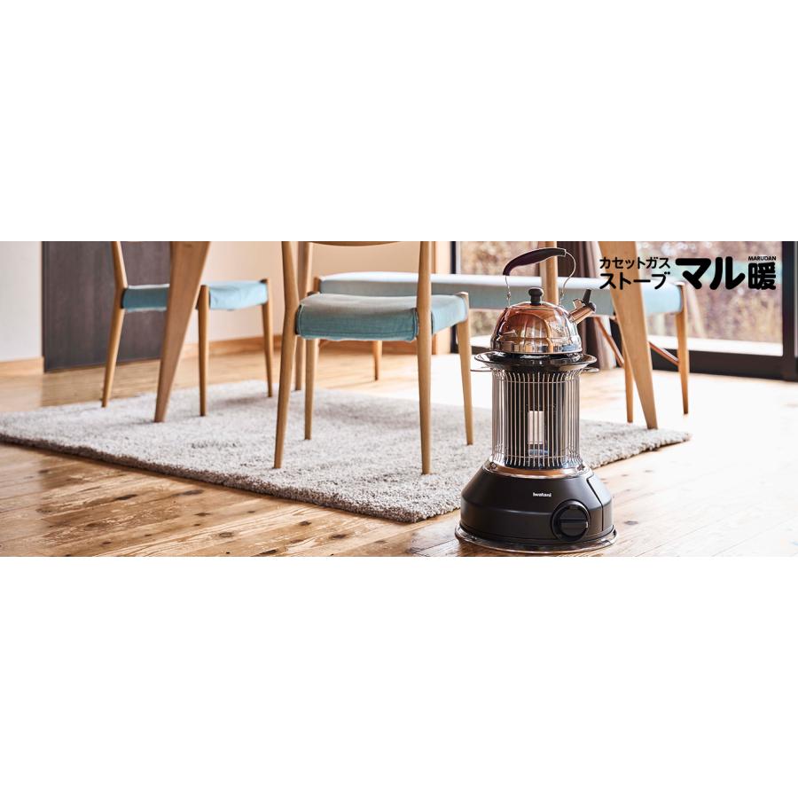 Iwatani（イワタニ） 【商品箱＋外箱に入れて発送】 カセットガス