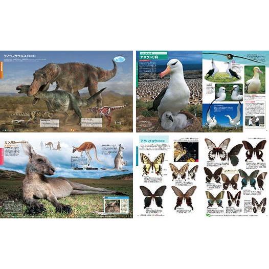 講談社の動く図鑑 MOVE（全巻DVDつき） セット 既13巻 : 脳トレ生活