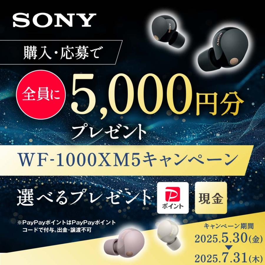 SONY（ソニー） 【在庫限り】SONY WF-1000XM5 P スモーキーピンク