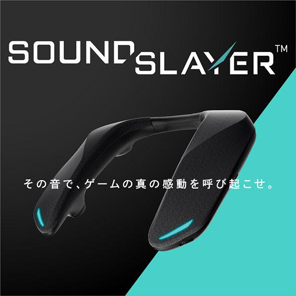 Panasonic（パナソニック） (お取り寄せ) Panasonic SC-GNW10