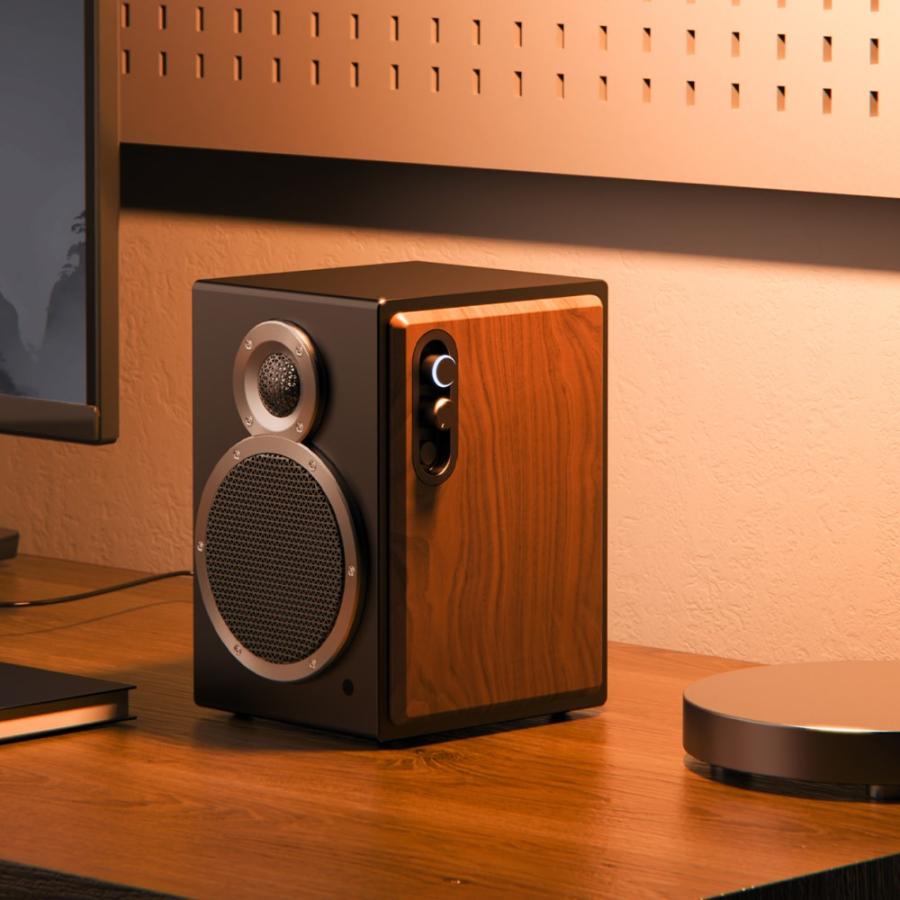 FiiO（フィーオ） FIIO SA1 FIO-SA1 アクティブスピーカー