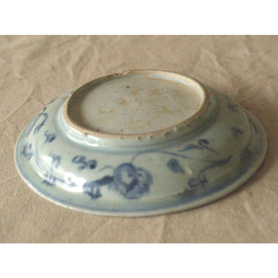 元時代 景徳鎮 青花魚藻文 古染付中皿18cm 15世紀 アジア 古玩 中国