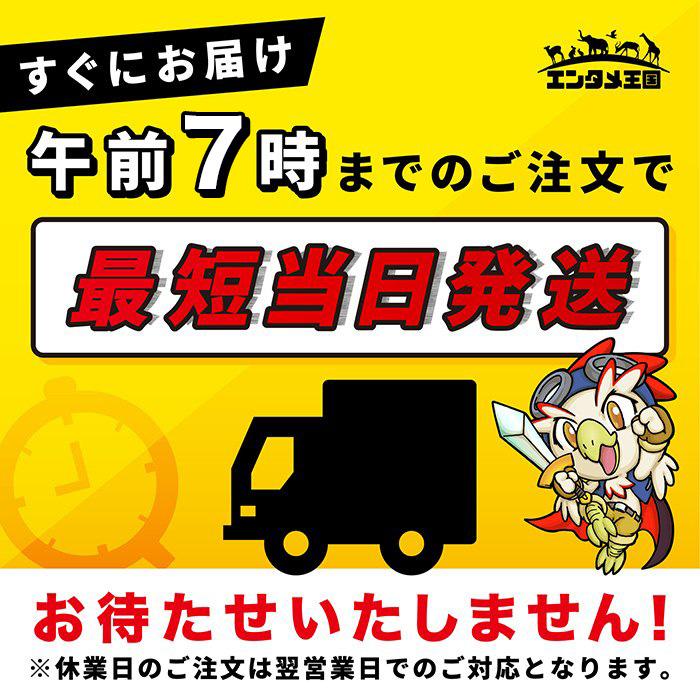 セガ（SEGA） DC ドリームキャスト 本体 すぐ遊べるセット 中古