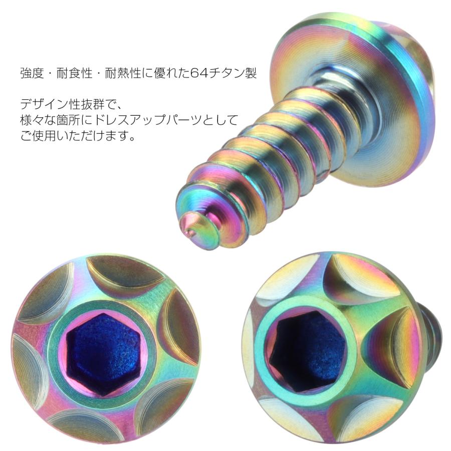 タッピングネジ M5×16mm チタン ビス スクリュー 焼チタン風 虹色