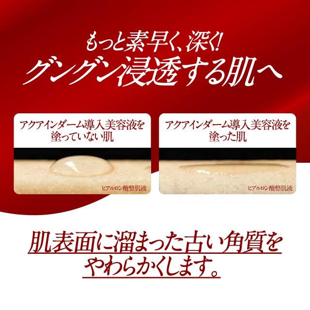 Dr.Ci：Labo（ドクターシーラボ） アクアインダーム 導入エッセンス EX