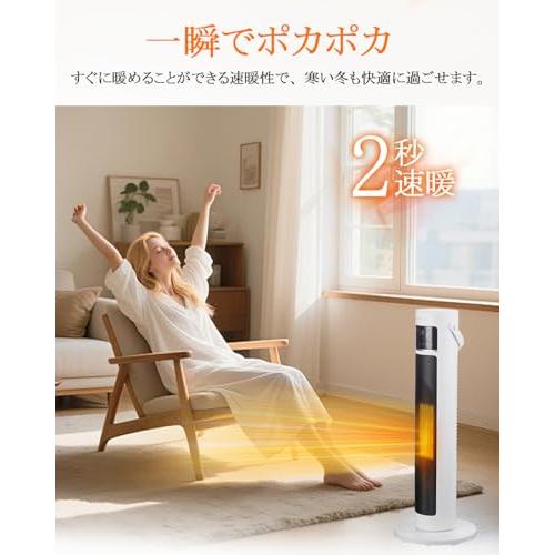 セラミックヒーター 電気ファンヒーター セラミックファンヒーター