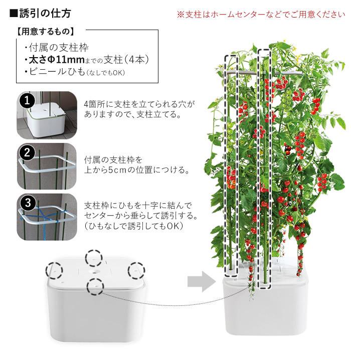 水耕栽培キット 水耕栽培セット 栽培キット 室内 ホームハイポニカ