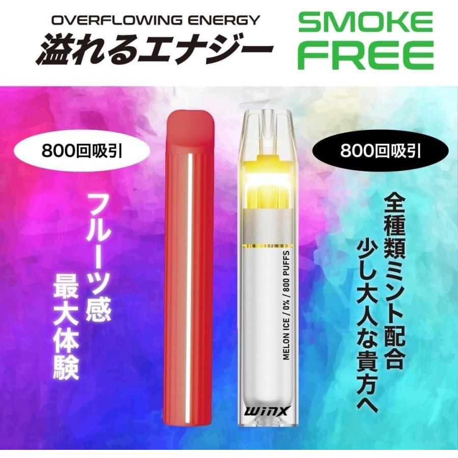 ポケットシーシャ winx S160スマート【全6種×各1本＝1箱】専用BOX入り