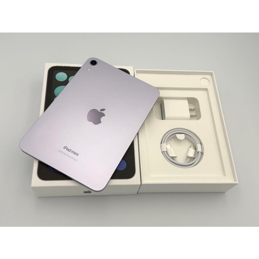 美品】iPad mini (A17-Pro) 128GB 第7世代 iPad mini (A17 Pro) - 技術
