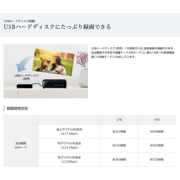 Panasonic（パナソニック） ポータブルテレビ 10v型 VIERA