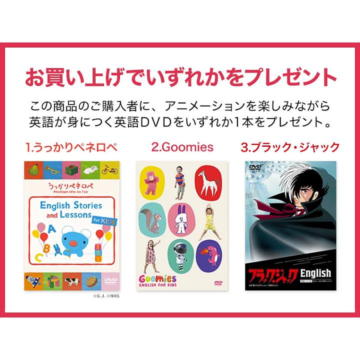 特典付 英語 フラッシュカード 750枚セット 送料無料 子供 幼児 カード