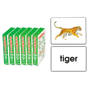 七田式 特典付 七田式フラッシュカード かな絵ちゃん 英語DVDセット