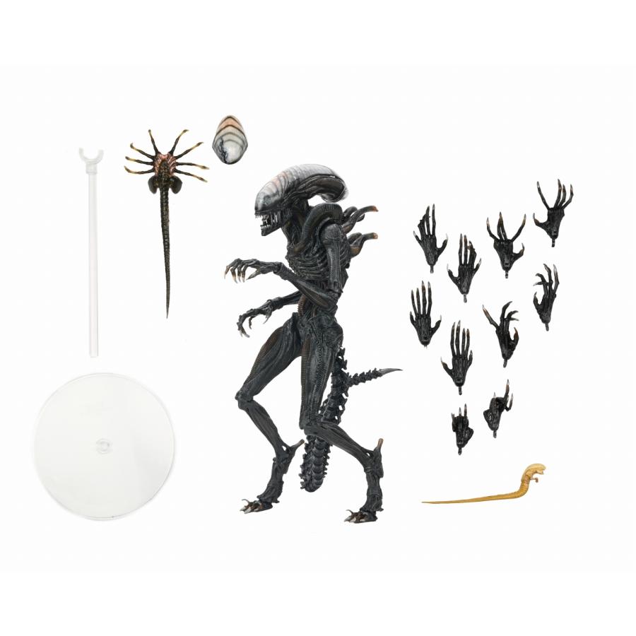 NECA（ネカ） ネカ/エイリアン ロムルス/スコーチド ゼノモーフ