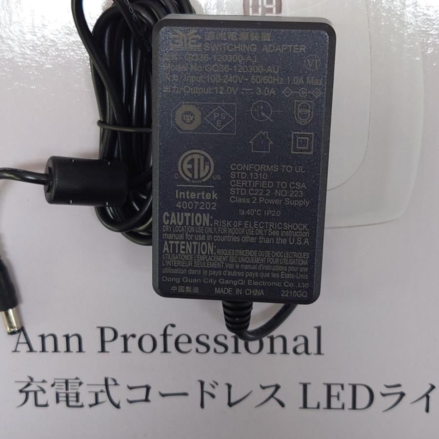 ネイルライト Ann Professional 充電式コードレスLEDライト 1年保証