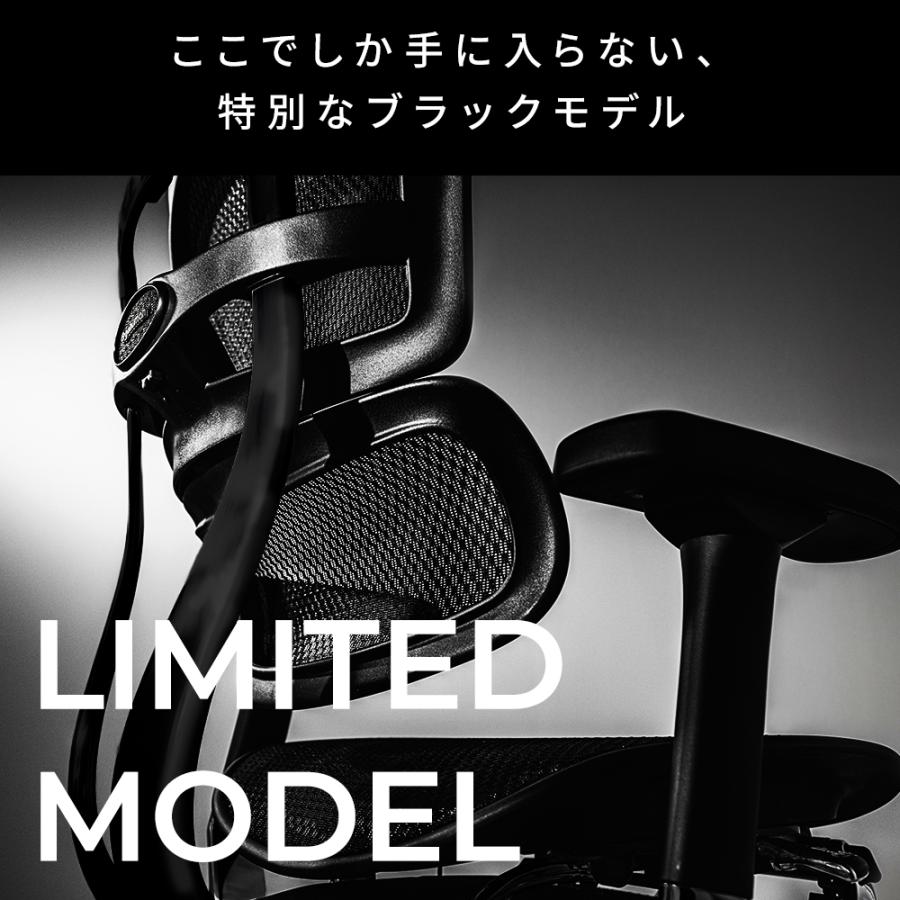 エルゴヒューマン（Ergohuman） プロ2 オットマン ブラック