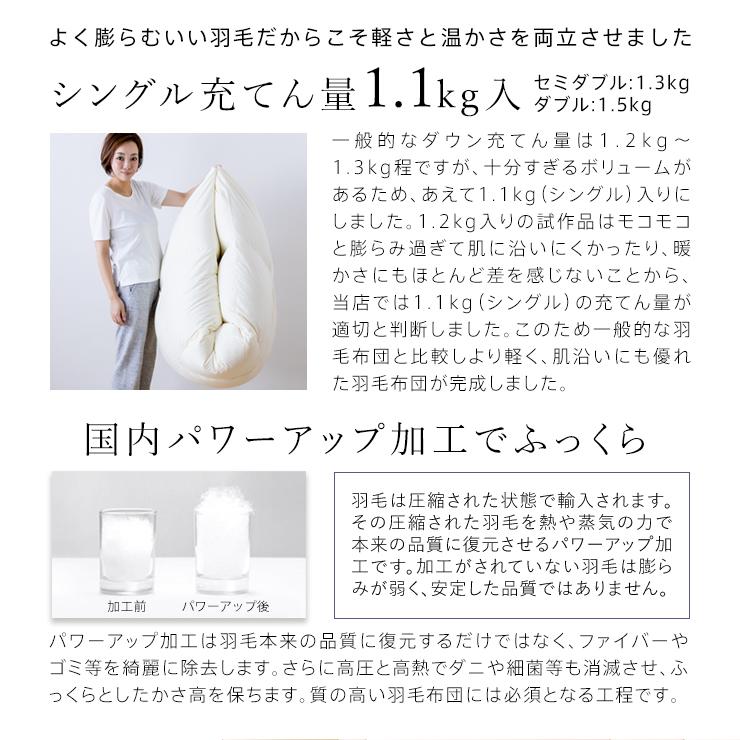 西川（nishikawa） マザーグース 羽毛布団 ダブル 布団カバー付 マザー