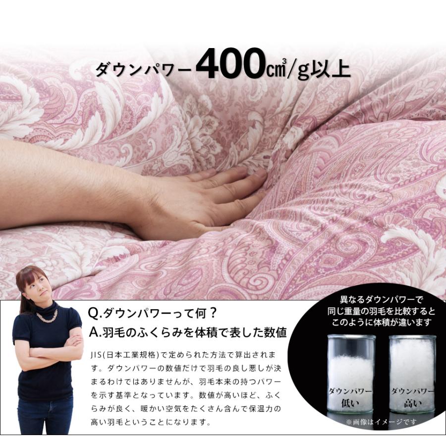 西川（nishikawa） 羽毛布団 グース シングル 布団カバー付 ホワイト