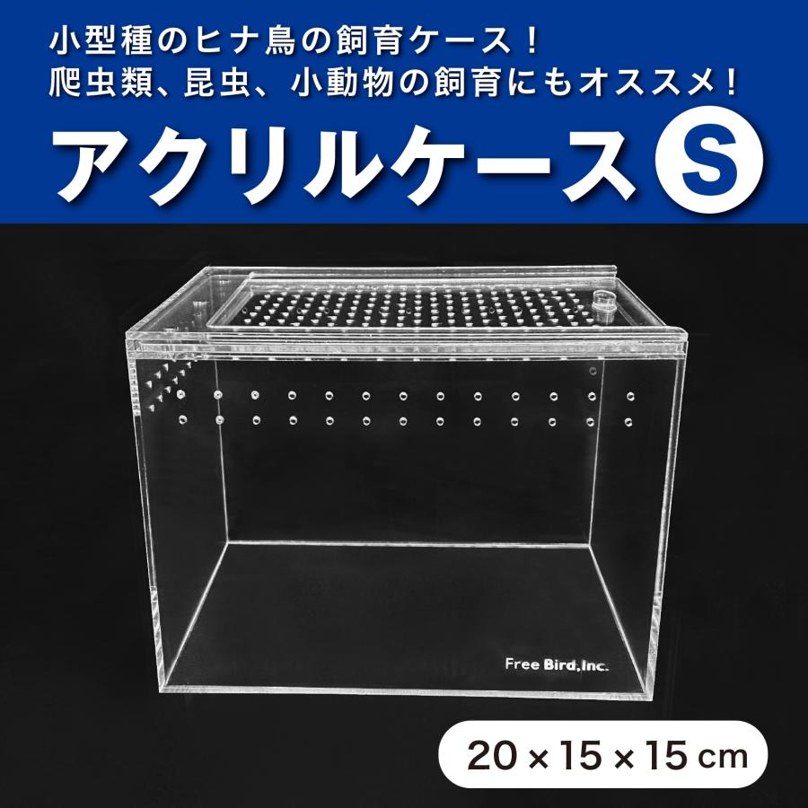 飼育ケース 鳥 爬虫類 昆虫 小動物 アクリルケースS : えとぴりか