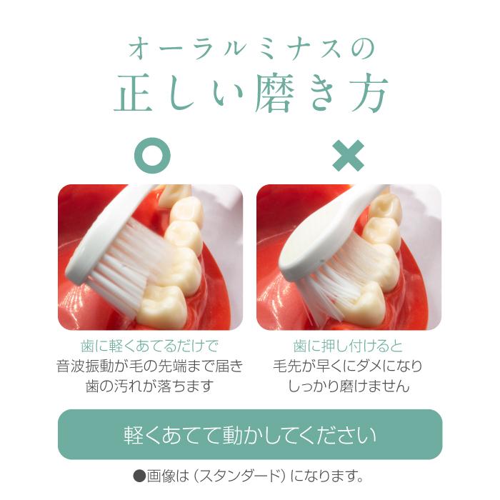 JAPAN GALS（ジャパンギャルズ） 【公式】mous.ORALUMINUS 専用 密集