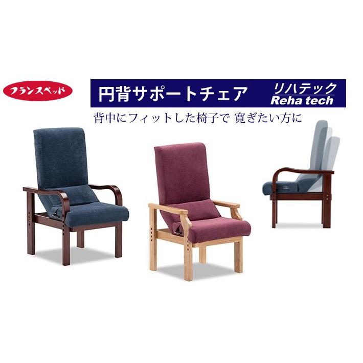 リハテック フランスベッド リハテック 円背サポートチェア ENN-01 NA