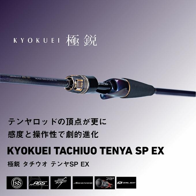 DAIWA（ダイワ） 24 極鋭 タチウオテンヤSP EX 91-170 (船竿) 2024年