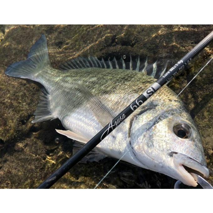 ホッツ Fishing Gang FIDELITY AZUSA 66SL (ライトゲームロッド