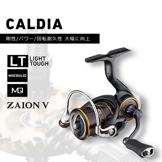 DAIWA（ダイワ） 【目玉商品】ダイワ 21 カルディア FC LT2000S-H