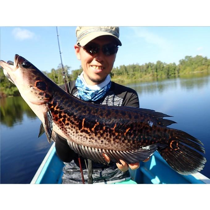 ツララ ロイラ 52 (Loira 52)(5) 【Σ05】 : つり具のマルニシYahoo