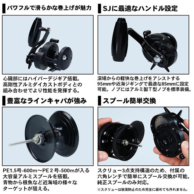 DAIWA（ダイワ） 【アウトレット商品】ダイワ 19 キャタリナ 15H 右
