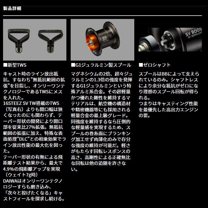 DAIWA（ダイワ） 24 スティーズ SV TW 100H 右ハンドル (2024年モデル