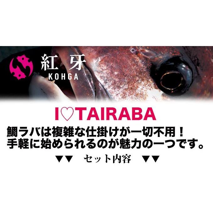 紅牙X タイラバ 入門 セット (付属ロッド： ダイワ 22 ベイトモデル