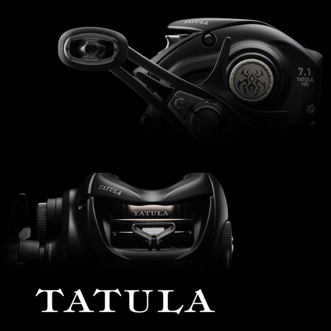 DAIWA（ダイワ） 【目玉商品】ダイワ 24 タトゥーラ TW 100XH 右