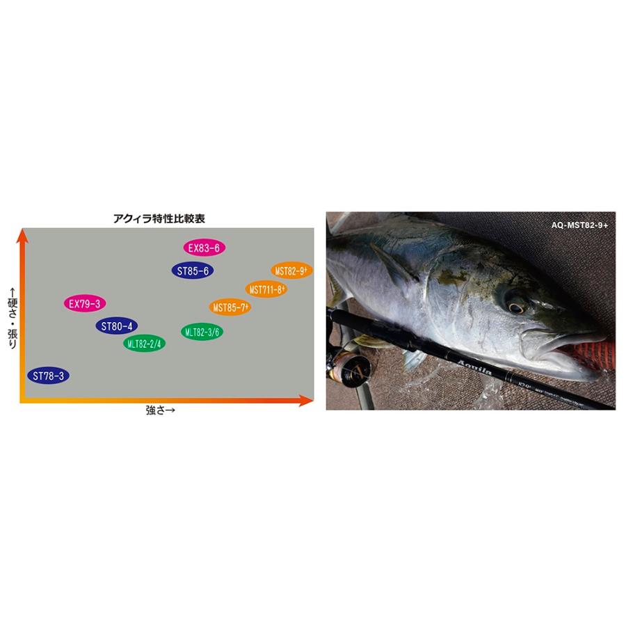 Ripple Fisher（リップルフィッシャー） アクィラ MLT 82-3/6 : つり具