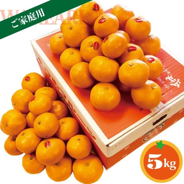 愛媛 真穴みかん 規格外 5kg 大きさおまかせ 訳あり・ご家庭用 愛媛県