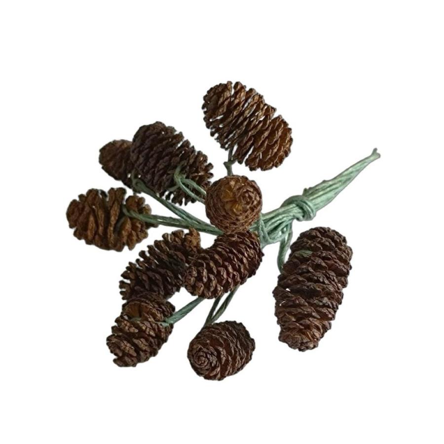 ヤシャブシ（ハンの実）大小アソート ナチュラル 1.5〜3cm（1個