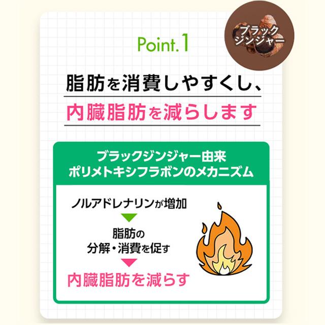 FANCL（ファンケル） 【ポイント15%】 内脂サポート 機能性表示食品 30