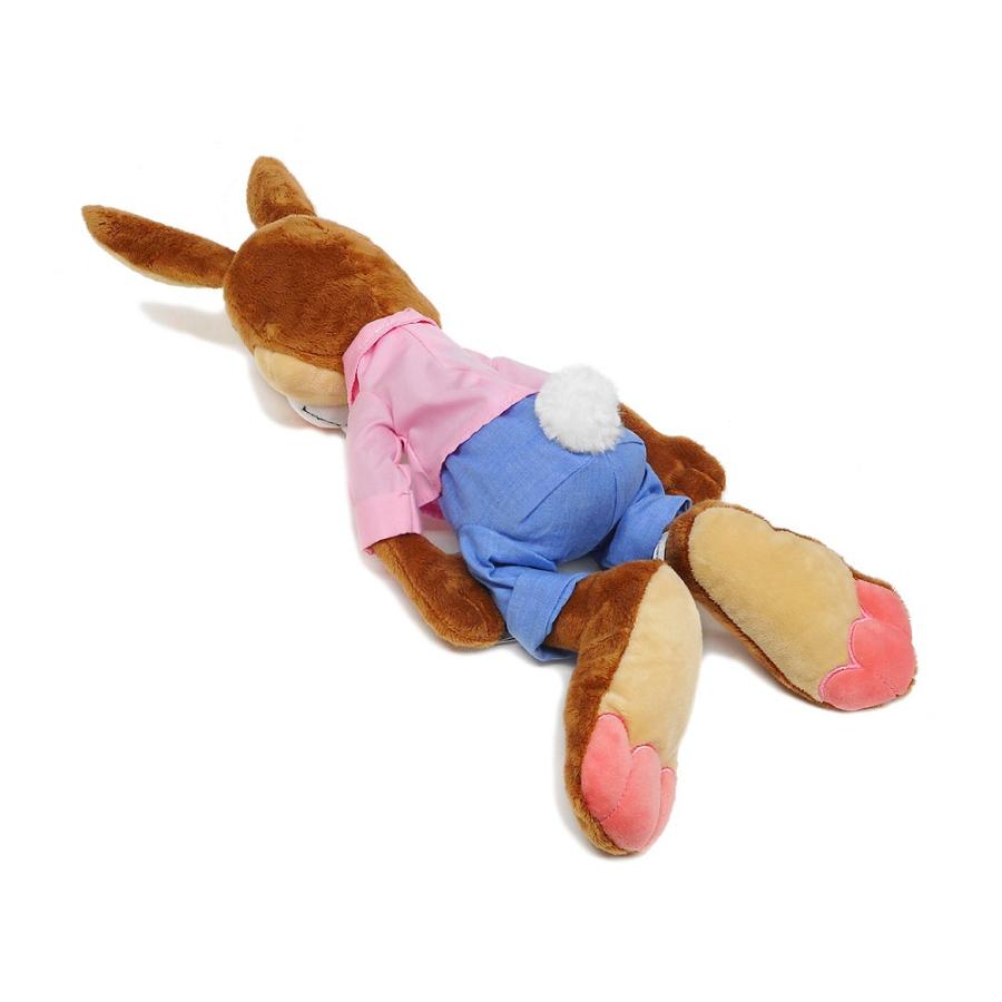 スプラッシュマウンテン うさぎどん ぬいぐるみ アトラクション ブレア