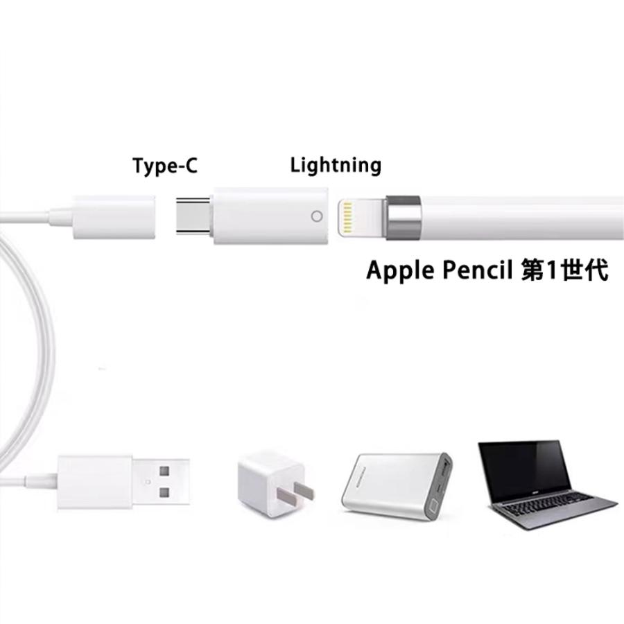 コネクタ Lightning to Type-C 変換 アダプタ iPad 第10世代 対応