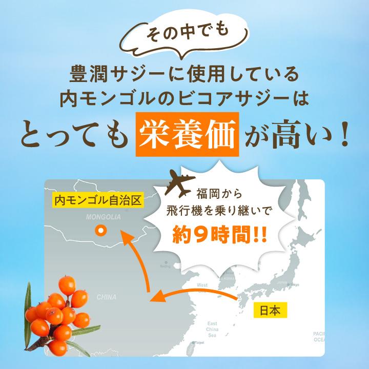 フィネス 豊潤サジー 1000ml サジージュース 紙パックタイプ 公式 200