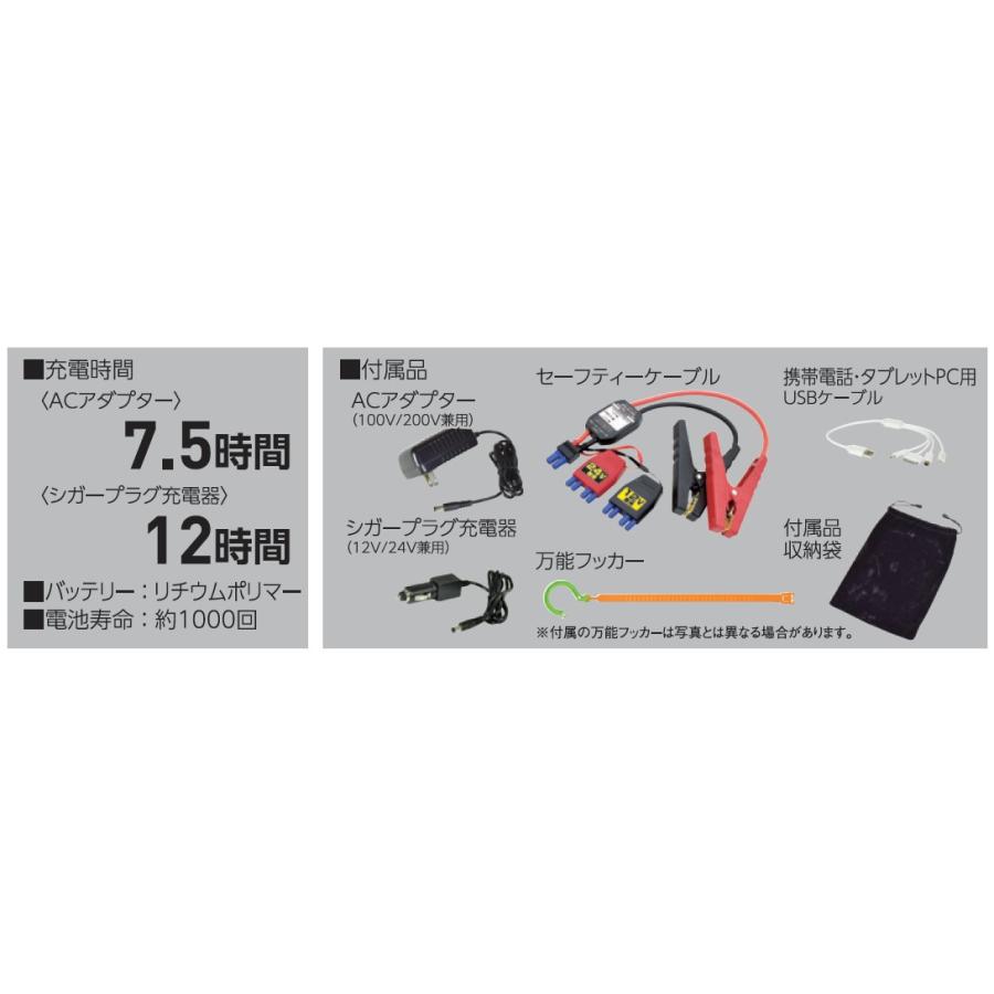 日動工業 エンジンスターター ビッグバンF1 AS-1224JS-S ジャンプ