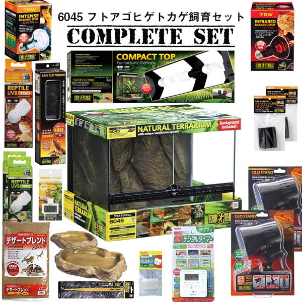 GEX（ジェックス） 【水槽セット】6045 フトアゴヒゲトカゲ飼育セット