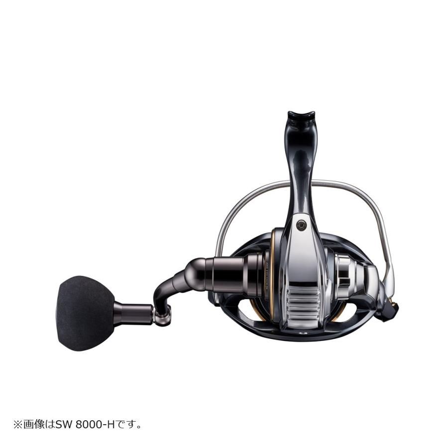 DAIWA（ダイワ） 22カルディア SW 6000S-H（CALDIA） : フィッシング