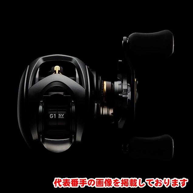 DAIWA（ダイワ） スティーズ CT SV TW 700HL 左ハンドル ベイトリール