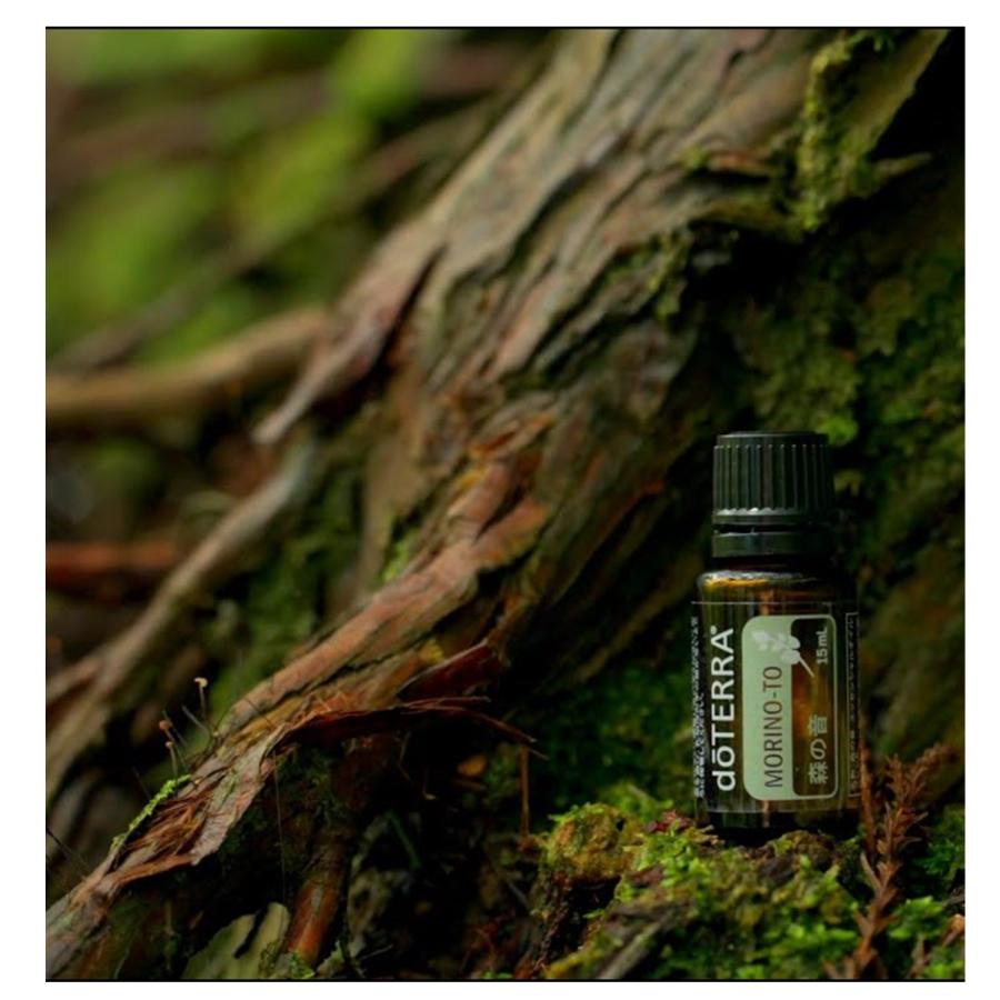 doTERRA（ドテラ） 森の音 15mL 正規品 1本 モリノト