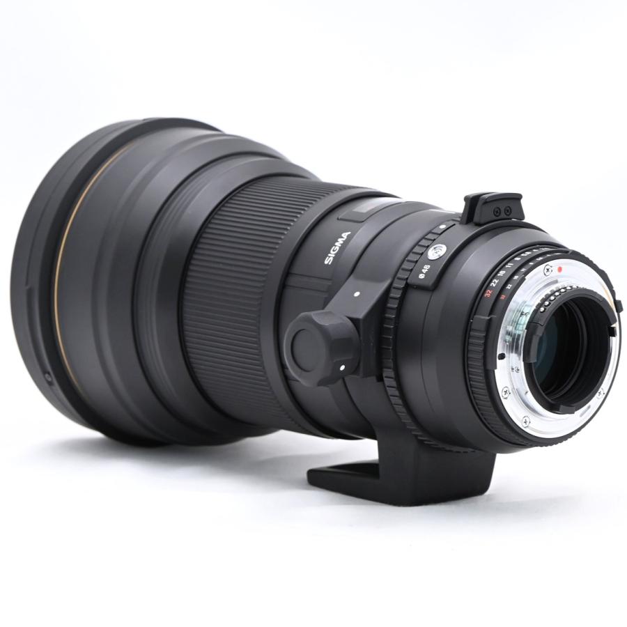 SIGMA シグマ APO 300mm F2.8EX DG HSM ニコンF用 : フラッグシップ
