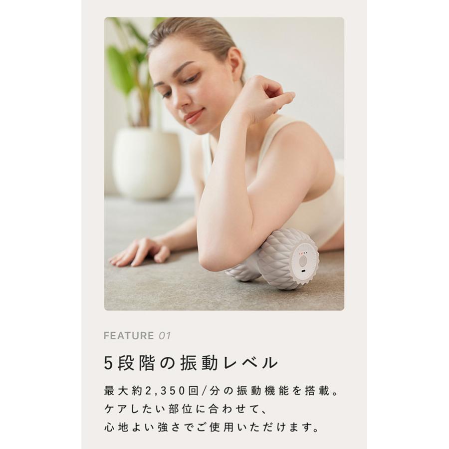 SIXPAD（シックスパッド） パワーローラー ツインズ SIXPAD Power