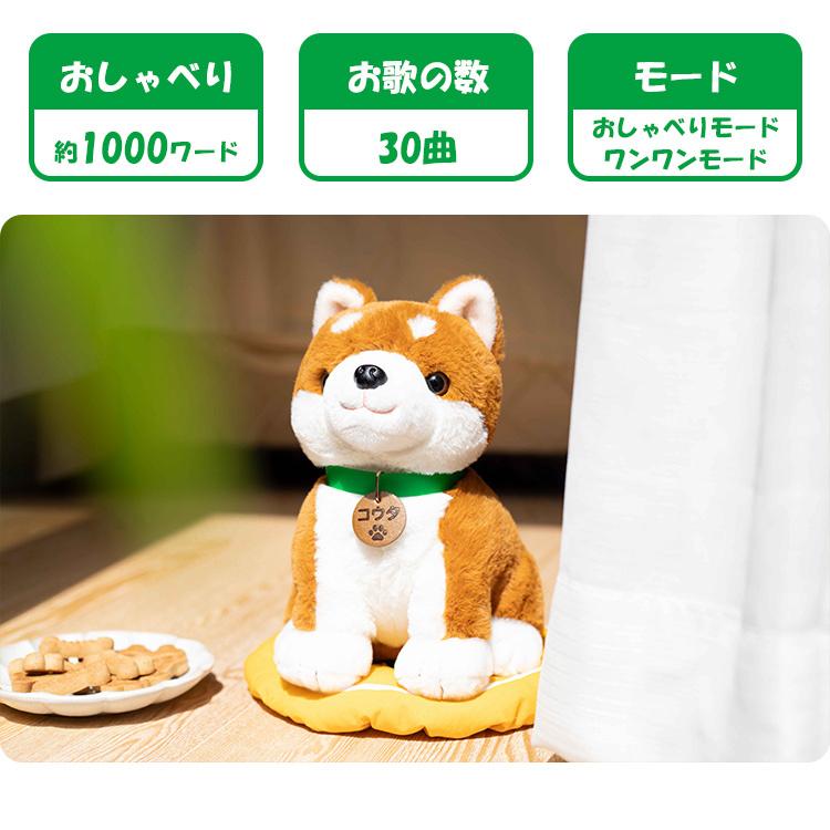 こんにちワン！しばいぬコウタ （バンダナつきセット） 音声認識